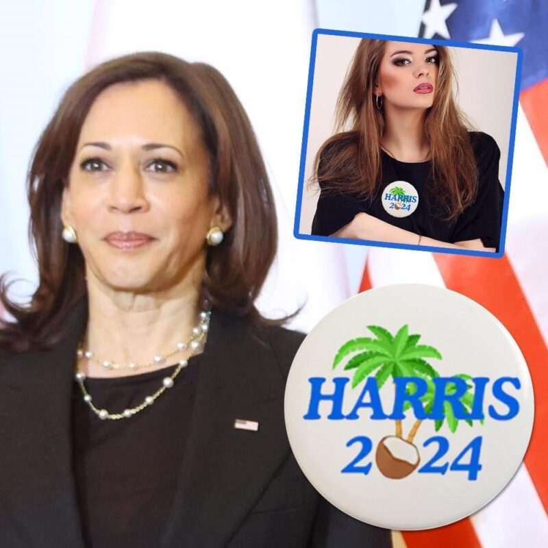 Kamala Harris 2024 Pin,Kamala Harris Coconut Tree Pin Button,Kamala Harris for President Campaign Button Pin, 2024 Presidential Election Button,Harris Campaign Pin,Kamala Campaign Pin for Women Men - Image 2