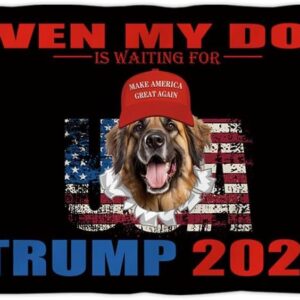 Funny Trump Flag, Leonberger Dog in Hat Decor Black Flag with USA Flag Even My Dog is Waiting for Trump 2024, 3x5 FT