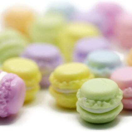 21 Mix Macaroon French Recipe Bakery Garden Display Minimal Decoration