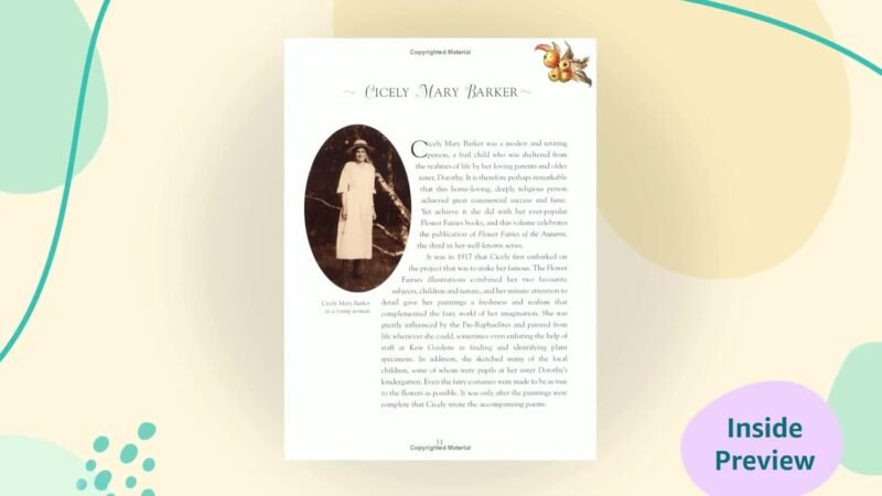 Flower Fairies of the Autumn - Image 2