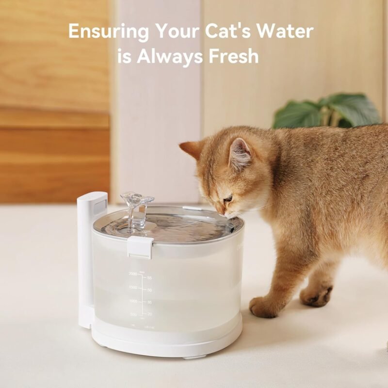 Cheerble Replacement Filters for Cheerble E1+ & E1 Pumpless Cat Water Fountain, Six to Eight Months Set of Replacement Filters for Ultra Quiet Pet Water Fountain, White, 8 Count (Pack of 1) - Image 4