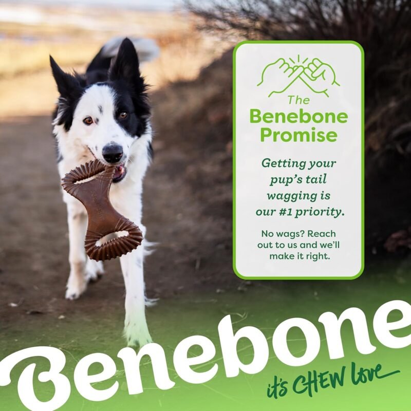Benebone Dental Durable Dog Chew Toy for Aggressive Chewers, Real Bacon, Made in USA, Medium - Image 6