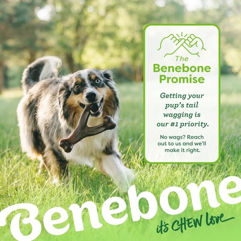 Benebone 2-pack Wishbone/Dental Durable Dog Chew Toys, Dog Toys for Aggressive Chewers, Real Bacon, Made in USA, Medium - Image 6