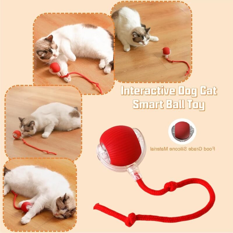 Generic 2PC Cat Toys for Indoor Cats, Pet Interactive Dog Ball, Rollie Pet Smart Chase Ball, Moving Cat Toys for Indoor Cats (Red+Green) - Image 2