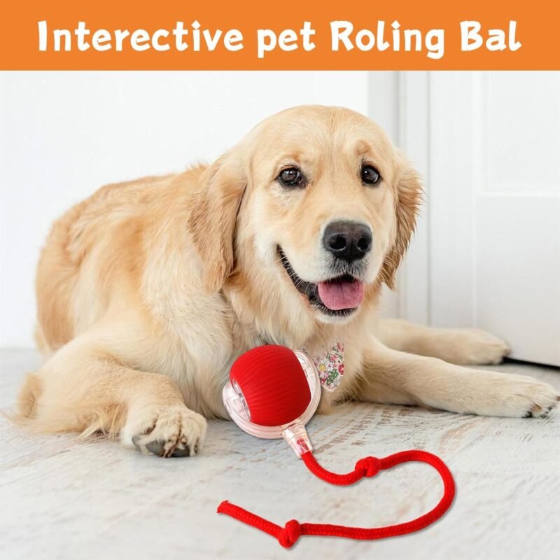 Generic 2PC Cat Toys for Indoor Cats, Pet Interactive Dog Ball, Rollie Pet Smart Chase Ball, Moving Cat Toys for Indoor Cats (Red+Green) - Image 4