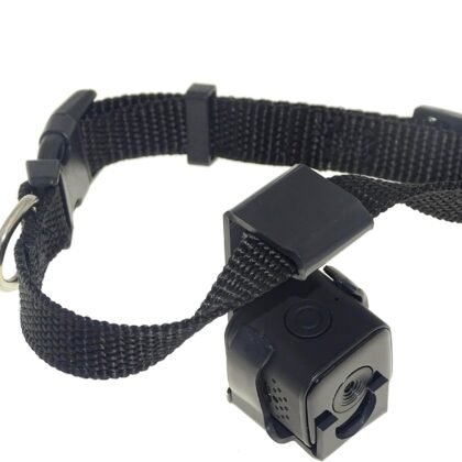 Digital Pet Collar Indoor HD 1080P Cam Camera DVR Video Recorder Monitor for Dog Cat Puppy