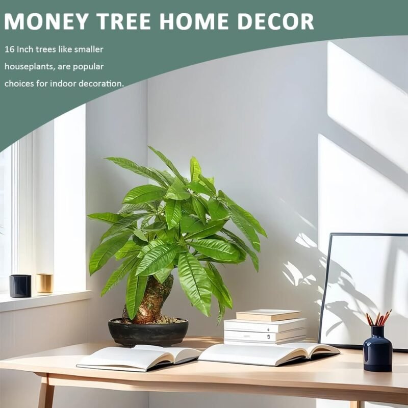 16 Inch Fake Money Tree,Artificial Money Tree Indoor Potted Plants,Faux Fortune Plant in Black Pot Good Luck Chrismas/Housewarming Gift for Home Office Living Room Decor Indoor - Image 3