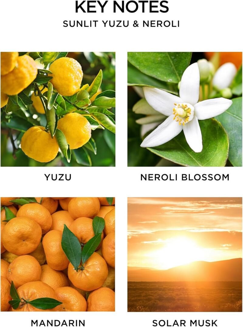 NEST New York Scented 3-Wick Candle Duo - Himalayan Salt & Rosewater and Sunlit Yuzu & Neroli - Image 4