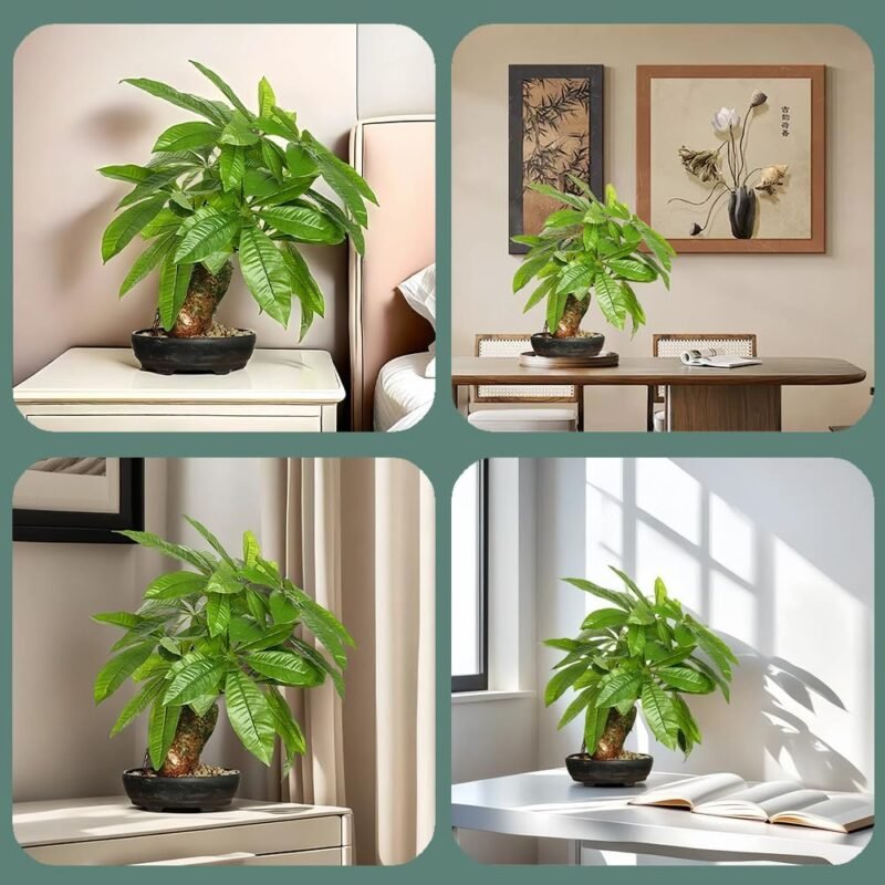16 Inch Fake Money Tree,Artificial Money Tree Indoor Potted Plants,Faux Fortune Plant in Black Pot Good Luck Chrismas/Housewarming Gift for Home Office Living Room Decor Indoor - Image 6