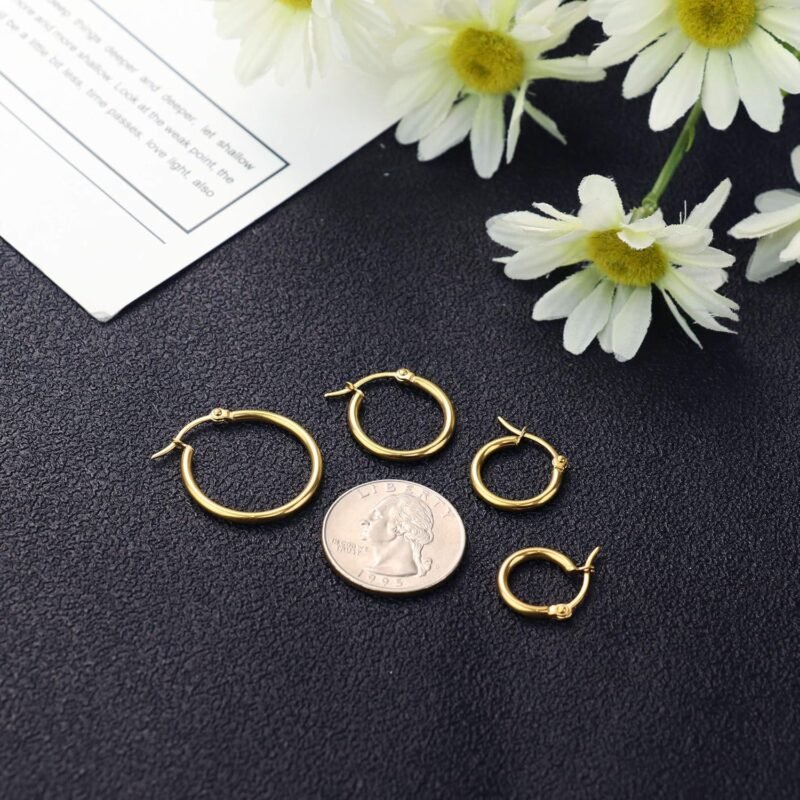 LOYALLOOK Gold Hoop Earrings Set Stainless Steel Rounded Small Hoop Earrings Set for Women Cute Huggie Earrings Nickel Free 10/12/15/20MM - Image 5