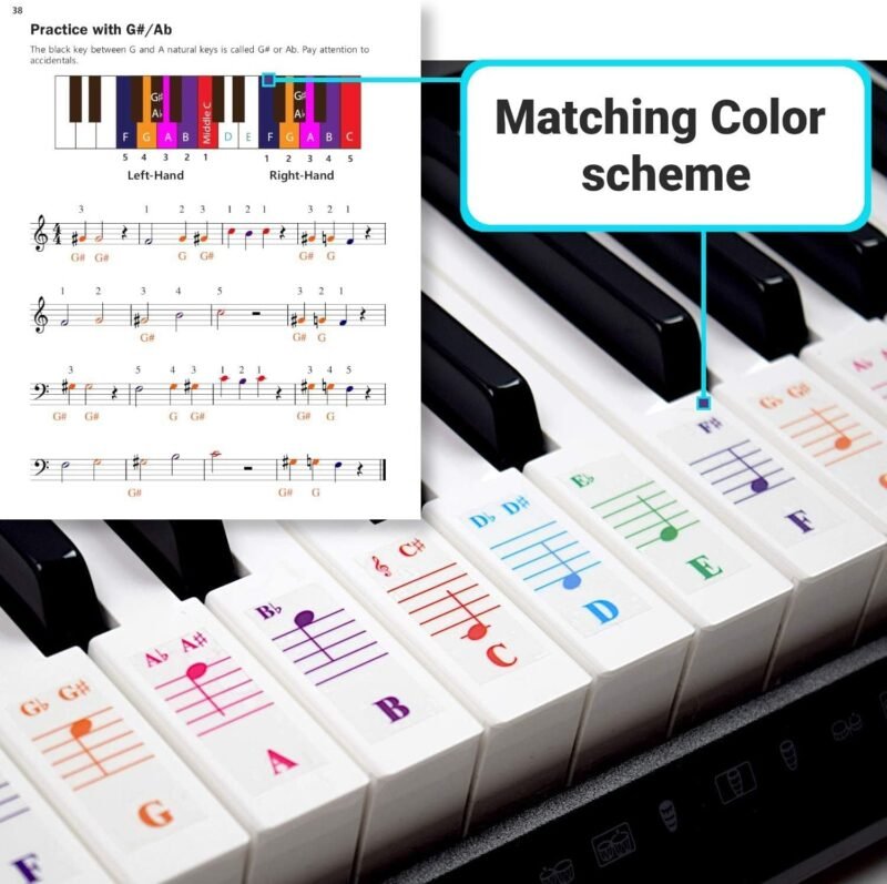 QMG Color Piano and Keyboard Stickers and Complete Color Note Piano Music Lesson and Guide Book 1 and Book 2 for Kids and Beginners; Designed and Printed in USA - Image 7