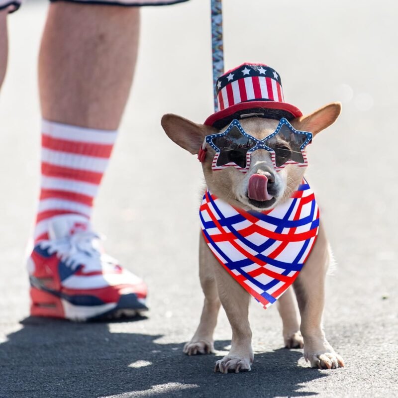 72 Pcs 4th of July Dog Bandanas Bulk Independence Day Triangle Scarf Patriotic Cat Bibs Puppy Scarf Red White and Blue Pet Bandanas for Puppy Cat Birthday Party Costume - Image 6