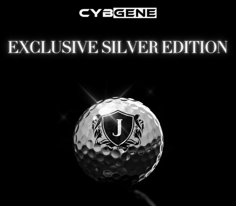 Personalized Golf Balls for Men, Unique Golf Gifts, Cool Accessories for Golfers, Golf Lovers, for Birthday and Christmas, Silver - Image 4