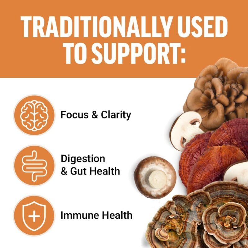 Force Factor Modern Mushrooms Soft Chews, Mushroom Supplement with Lions Mane, Turkey Tail, & Cordyceps to Support Energy, Focus, Immunity, & Digestion, Cinnamon Roll, 60 Soft Chews - Image 2