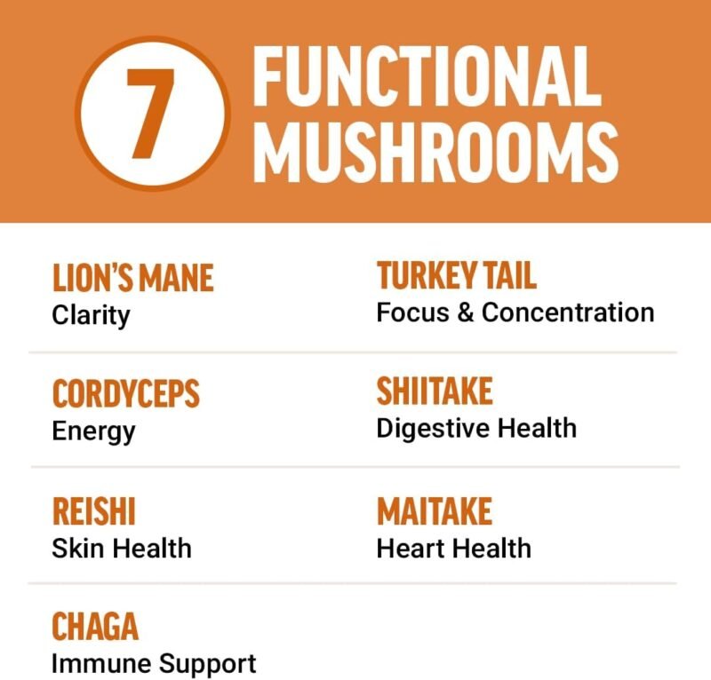 Force Factor Modern Mushrooms Soft Chews, Mushroom Supplement with Lions Mane, Turkey Tail, & Cordyceps to Support Energy, Focus, Immunity, & Digestion, Cinnamon Roll, 60 Soft Chews - Image 3