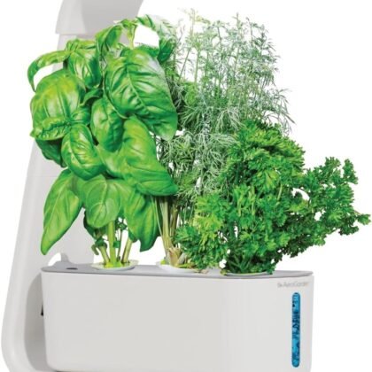AeroGarden Sprout - Indoor Garden with LED Grow Light, White