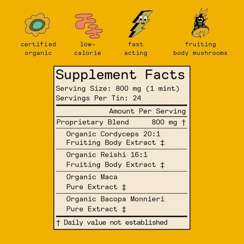 Daily Creativity and Connection SuppleMint | Cordyceps, Reishi, Maca & Bacopa Monnieri Mixed Mushrooms Extract | Pure Breath Mint for Creativity & Connection | 20g Organic Mushroom Mint - Image 4