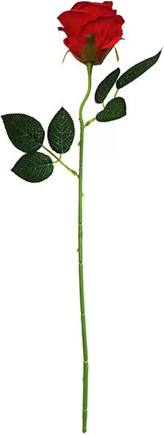 Halloween Costumes for Women - Black Long Dress, Wig with Wig Cap and Artificial Red Roses Flowers - Image 4