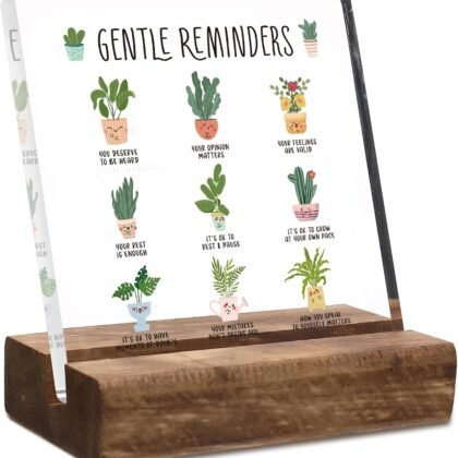 Positivity Gifts Desk Decor - Gentle Reminders Inspirational Motivational Mental Health Office Desk Decor, Pot Plants Acrylic Plaque Sign, Positive Gifts for Her Him Friends Students Coworker