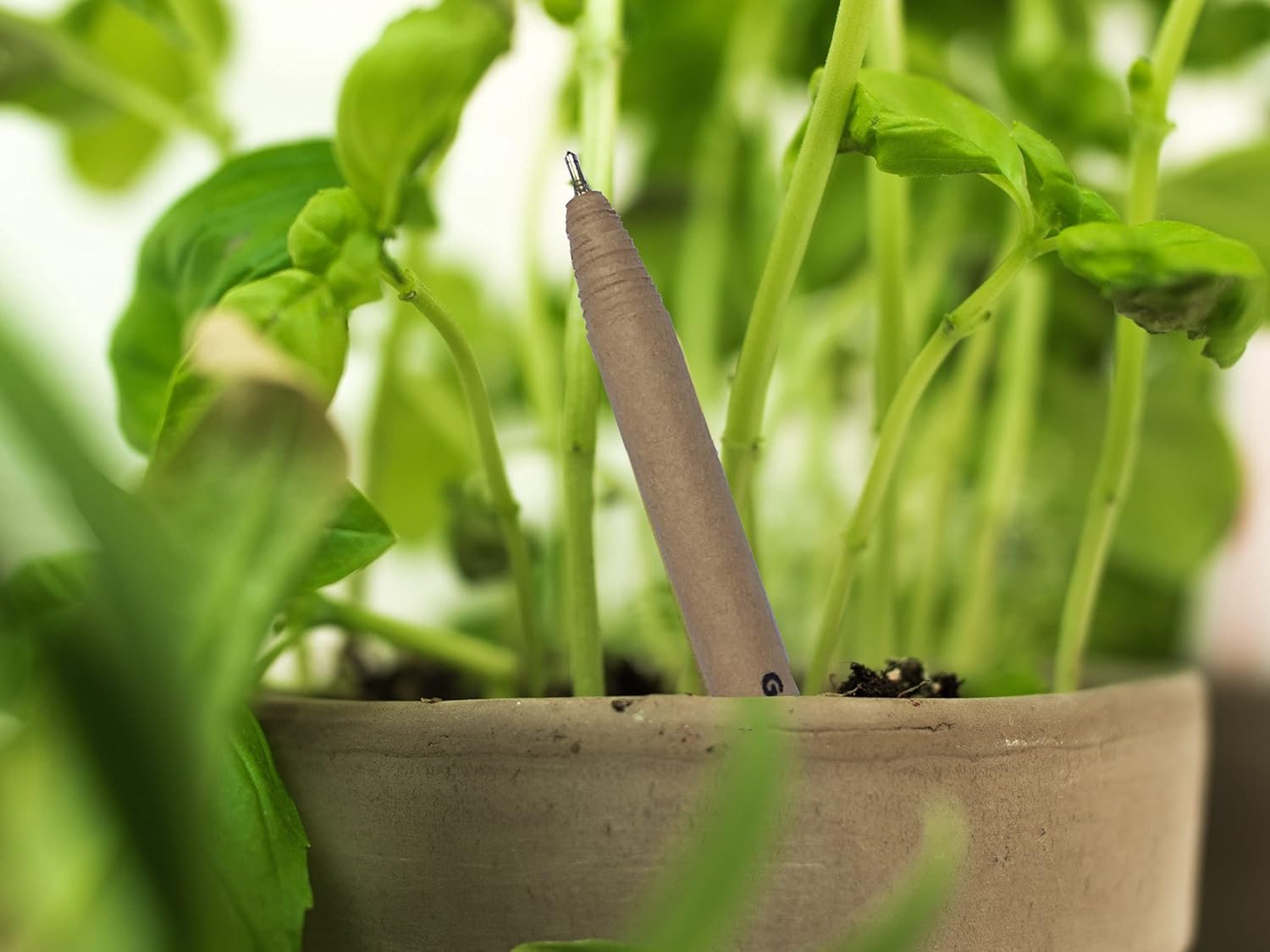 THE CREATOR The CREATOR - PLANTABLE Pens One pen reduces 6g of plastic added to the environment Eco Friendly Go Green - Save Earth Give a gift that speaks to the Heart, Pack of (6), RAINBOW Theme - Image 3