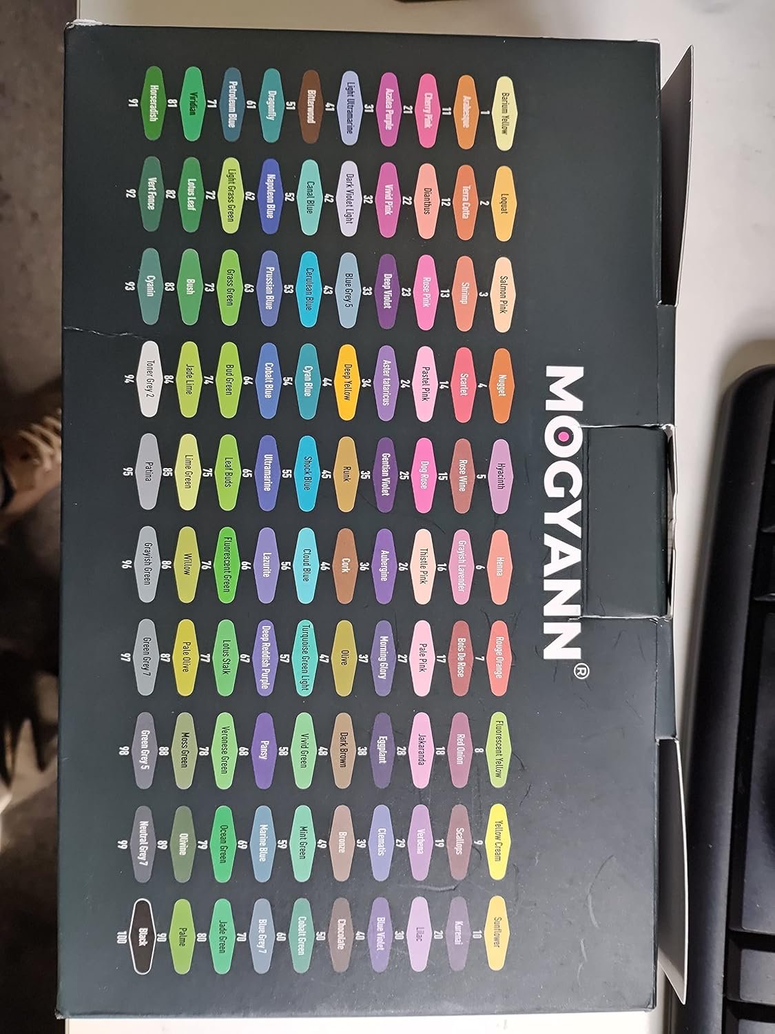 Mogyann Markers for Adult 100 Colors Dual Tip Pens with Fine and Brush Tip for Coloring and Calligraphy Drawing - Image 8