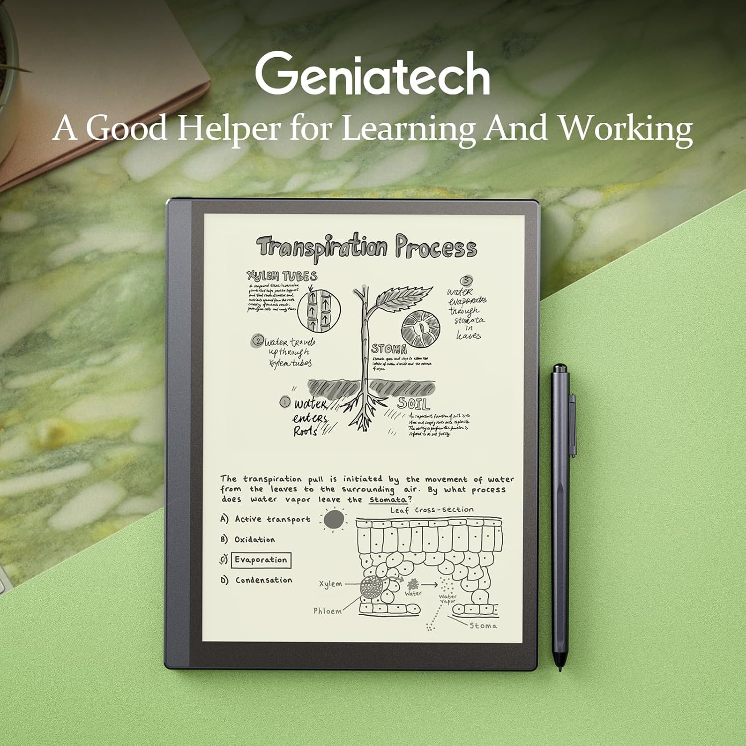 Kloudnote Slim 10.3" Digital Notebook, E Ink Tablet and ePaper Notepad for ebook Reading and Writing, 227ppi ereader Device in 2025, 5.3mm Ultra-Thin (Grey) - Image 2