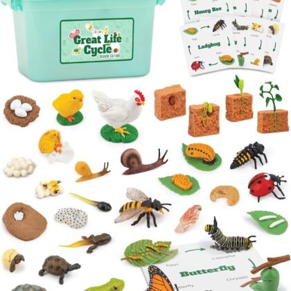 Life Cycle Animal Kit - 32 Piece Montessori Science Toy with Frog, Ladybug, Butterfly, Bee, Chicken, Turtle, Snail & Plant Figurines. Matching Game & STEM Educational Gift for Kids Ages 3–8