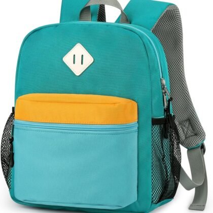 STEAMEDBUN Toddler Backpack for Boys 2-4,Kindergarten Backpack for Boys,Preschool Backpack,Mini