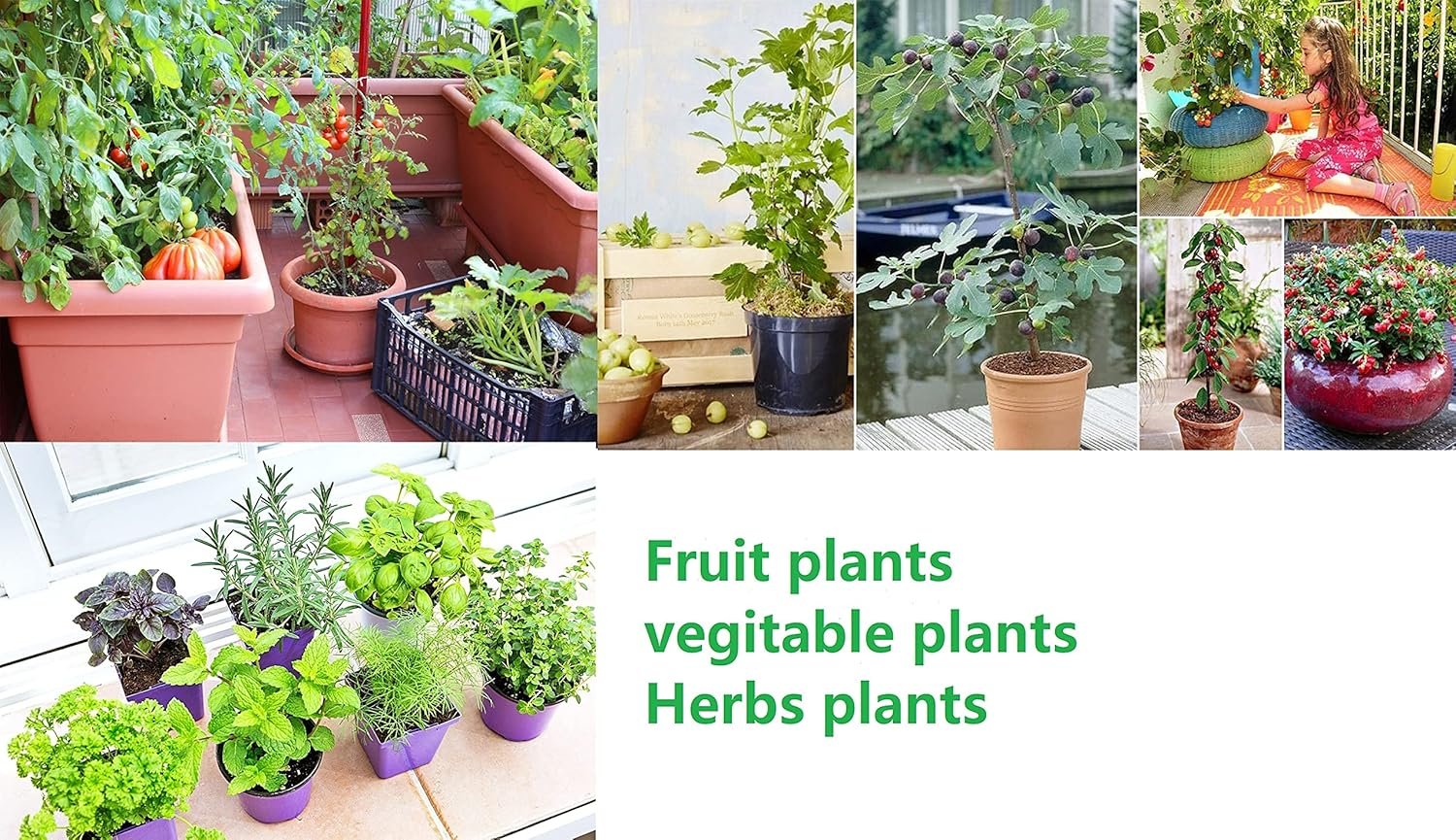 THE CREATOR The CREATOR - PLANTABLE Pens One pen reduces 6g of plastic added to the environment Eco Friendly Go Green - Save Earth Give a gift that speaks to the Heart, Pack of (6), RAINBOW Theme - Image 5