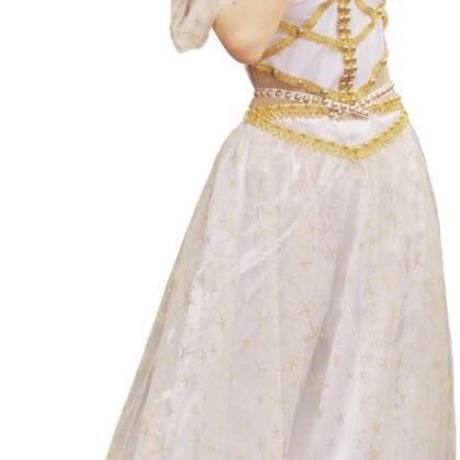 MISI CHAO Belly Dance Jasmine Costume - Aladdin Halloween Outfit Princess Costumes White for Women