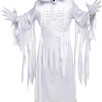 Fun World The Banshee Ghost Adult Costume, One Size Fits Most