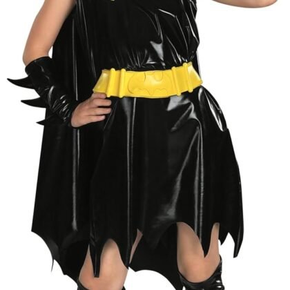 DC Comics Superheroes: Batgirl Costume Dress for Kids by Rubies, Girl's Large