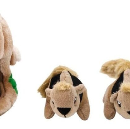 Hide A Squirrel Dog Toy