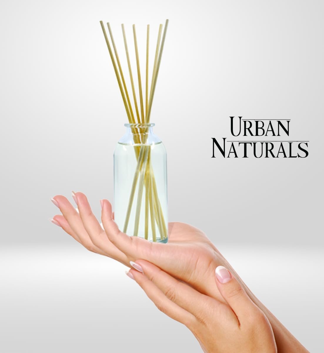 Urban Naturals Pumpkin Brulee Scented Sticks Reed Diffuser Oil Set | Fall & Winter Home Scent | Creamy Pumpkin Pie, Nutmeg & French Vanilla | Beautiful Autumn Home Decor | Great Gift Idea - Image 4