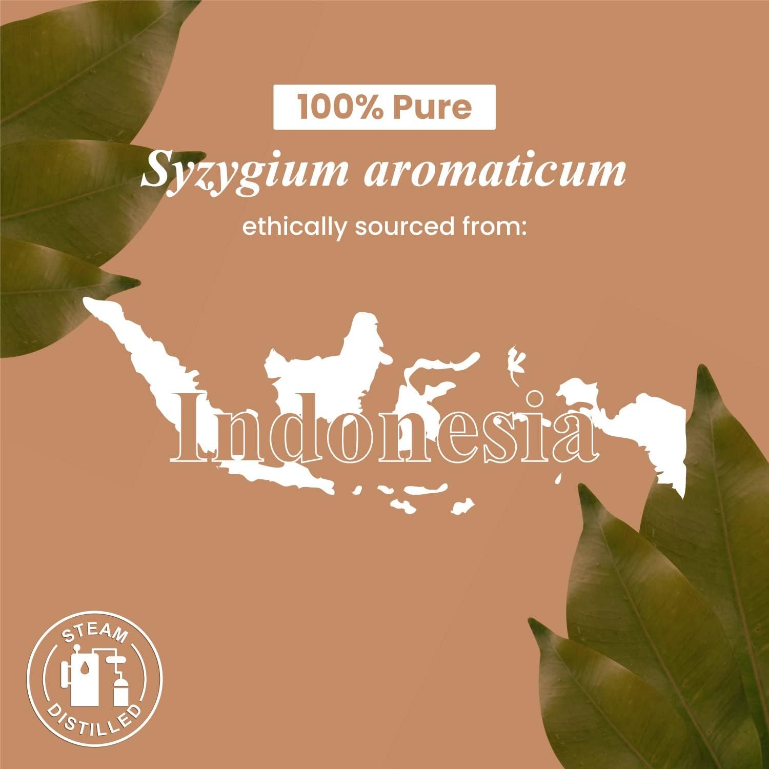 Handcraft Blends Clove Essential Oil – Huge 4 Fl Oz – 100% Pure and Natural – Premium Grade Essential Oil for Diffuser and Aromatherapy, Skin, Massage, Candle and Soap Making Fragrance - Image 8