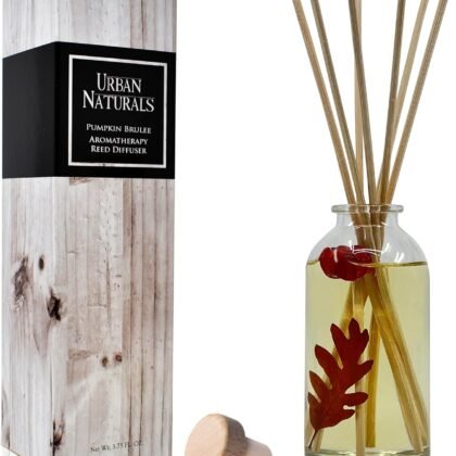 Urban Naturals Pumpkin Brulee Scented Sticks Reed Diffuser Oil Set | Fall & Winter Home Scent | Creamy Pumpkin Pie, Nutmeg & French Vanilla | Beautiful Autumn Home Decor | Great Gift Idea