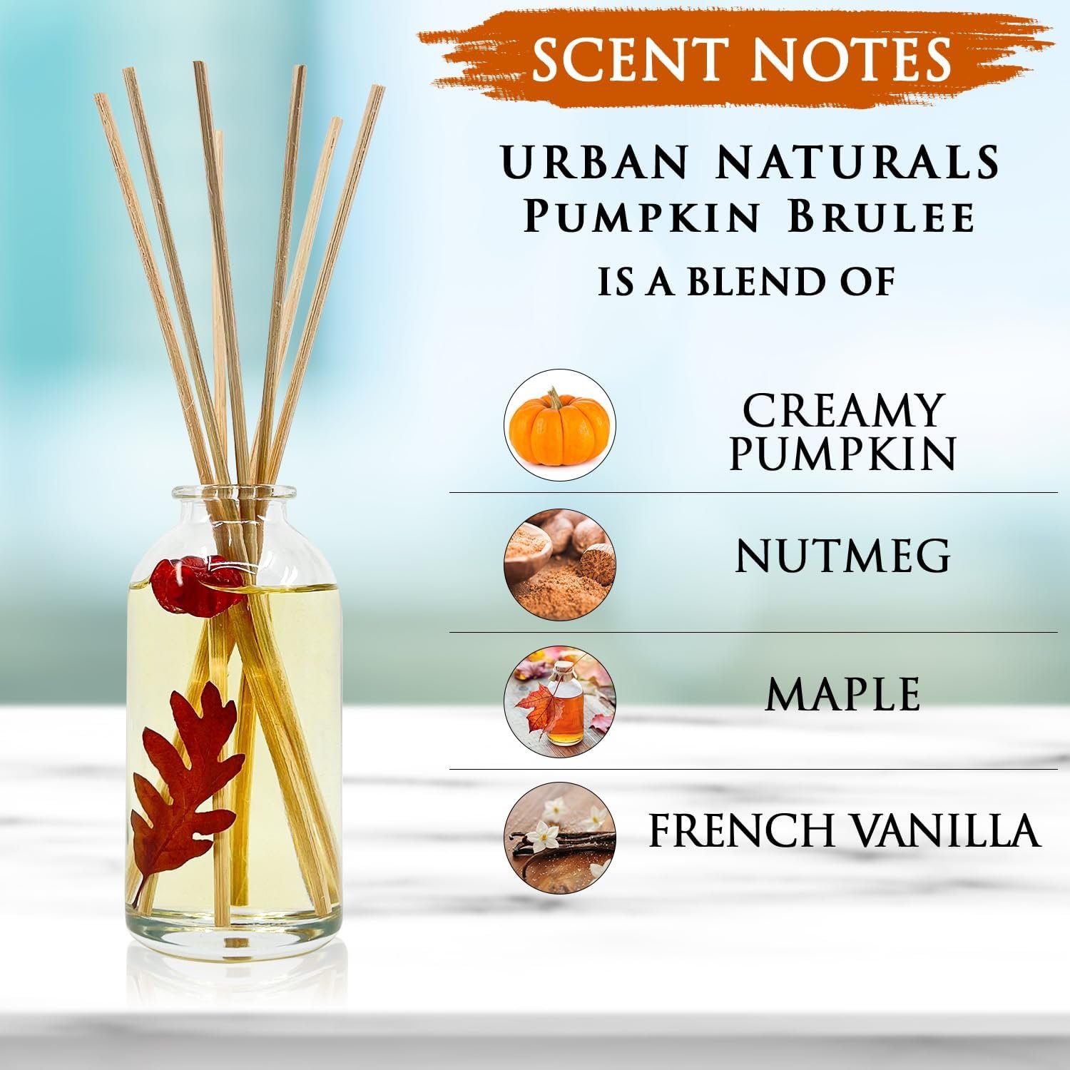Urban Naturals Pumpkin Brulee Scented Sticks Reed Diffuser Oil Set | Fall & Winter Home Scent | Creamy Pumpkin Pie, Nutmeg & French Vanilla | Beautiful Autumn Home Decor | Great Gift Idea - Image 3