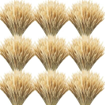 Geosar 600 Stems Dried Wheat Stalks for Decor Natural Wheat Grass Sheaves Bundle Farmhouse Artificial Flowers Arrangement for DIY Wedding Table Home Centerpieces Party Decorative(17.7 Inch)