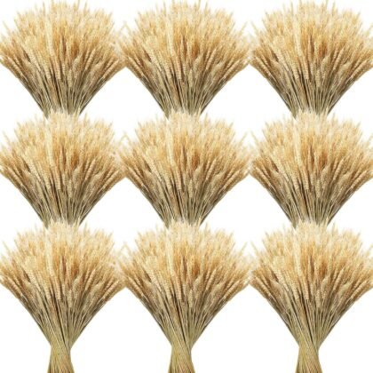 Geosar 600 Stems Dried Wheat Stalks for Decor Natural Wheat Grass Sheaves Bundle Farmhouse Artificial Flowers Arrangement for DIY Wedding Table Home Centerpieces Party Decorative (16 Inch)