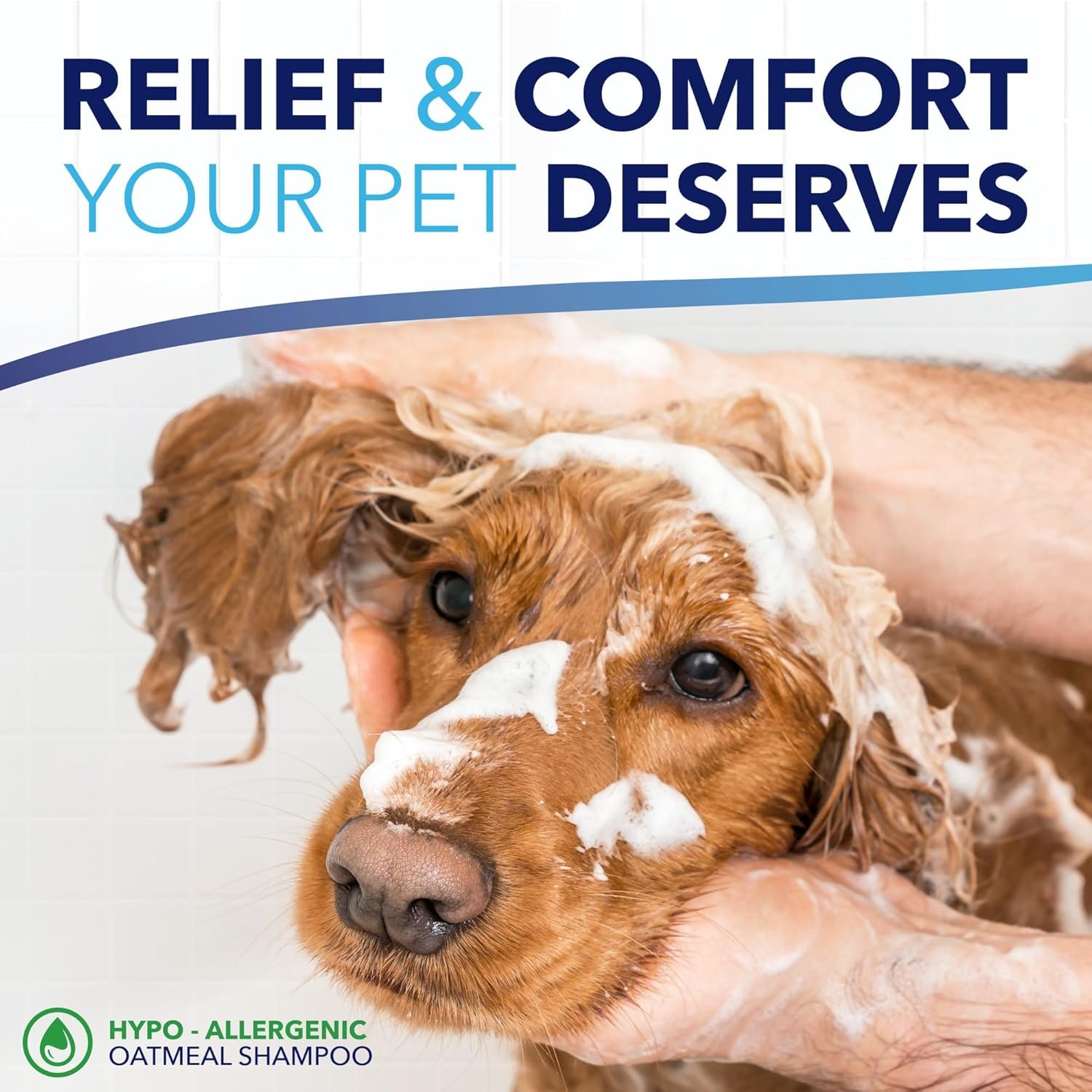TropiClean OxyMed Hypoallergenic Dog Shampoo for Allergies and Itching, Skin Soothing Shampoo for Pets with Sensitive Skin, Tearless, Cat Safe, 1 Gallon - Image 6