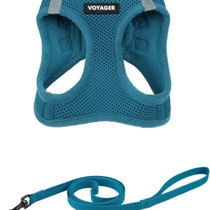 Voyager Step-in Pet Harness - All Weather Mesh, Adjustable Step in Harness for Cats and Dogs by Best Pet Supplies - 307S Turquoise, S