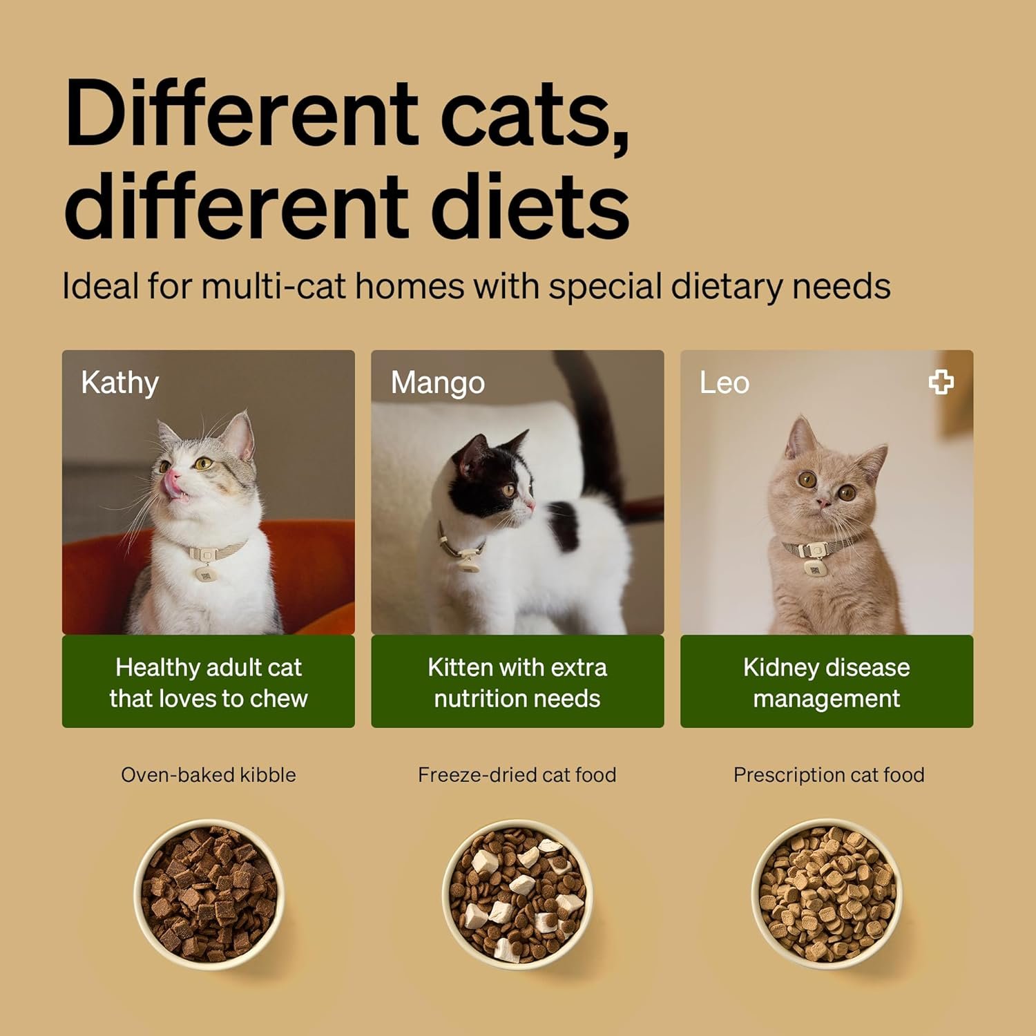 PETLIBRO RFID Automatic Cat Feeders for 3 Cats, Collar Sensor for Personalized Meals, Cats Recognition, Diet Tracking and Anti-Stealing for Multi-Pets Homes and Different Diets, WiFi Food Dispensers - Image 6