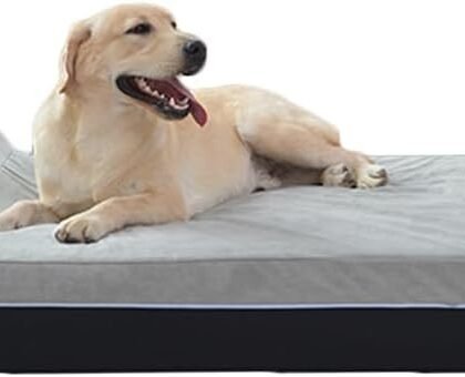 Laifug Orthopedic Memory Foam Extra Large Dog Bed Pillow(50"x36"x10", Slate Grey) Durable Water Proof Liner & Removable Washable Cover & Smart Design