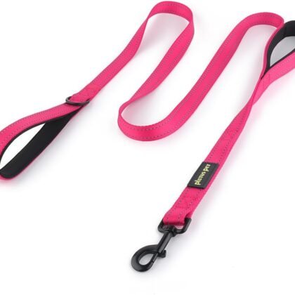 Plutus Pet Double Handle Dog Leash 6ft Long, Padded 2 Handle, Heavy Duty, Reflective Training Leash for Medium Large Dogs, Dual Handle Lead (Pink)