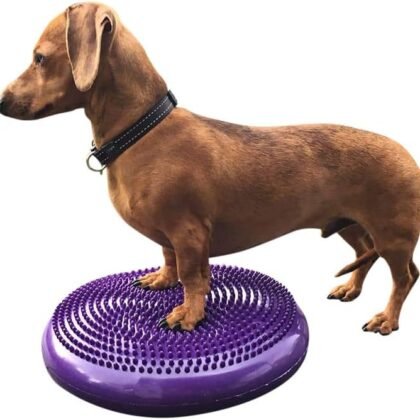 Dog Balance Disc Cushion 14" - With 2 Exercises and Pump - Dog rehab Exercise Strength Endurance Conditioning Fitness Flexibility Rehabilitation Physical Training Tool for Senior Dogs