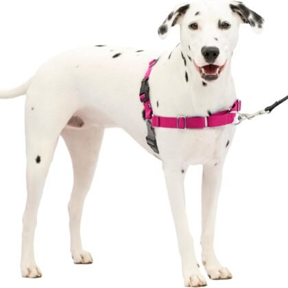 PetSafe Easy Walk No-Pull Dog Harness - The Ultimate Harness to Help Stop Pulling - Take Control & Teach Better Leash Manners - Helps Prevent Pets Pulling on Walks, Medium/Large, Raspberry/Gray