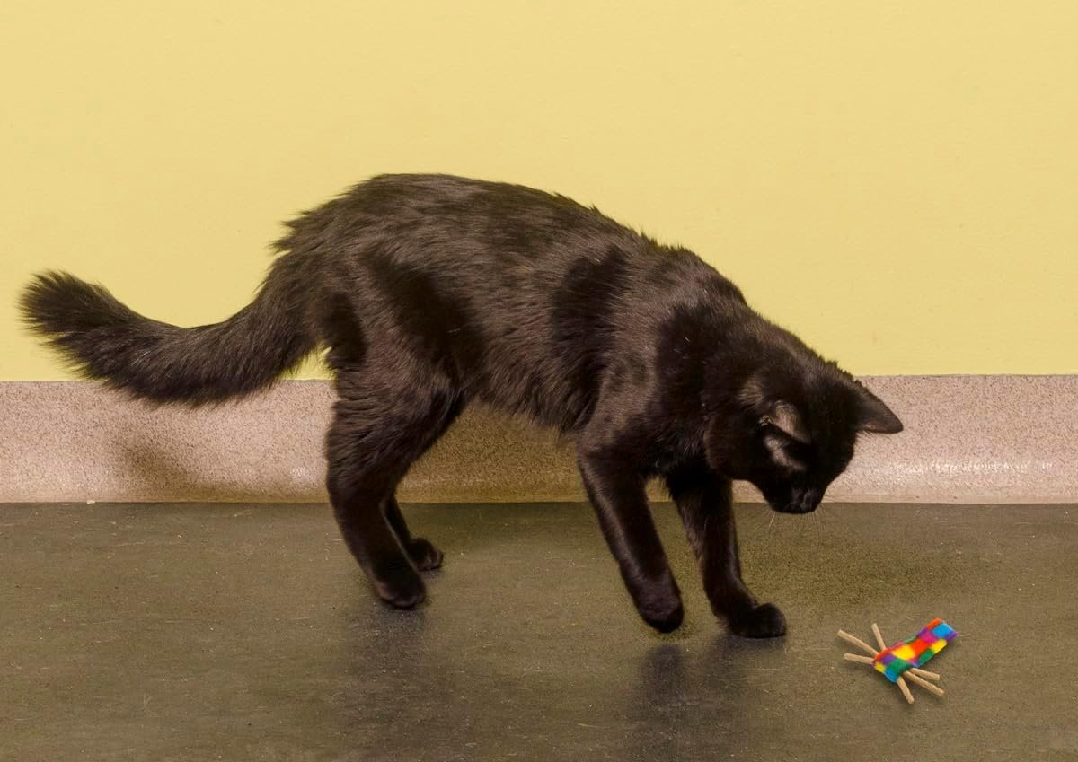 Cat Dancer Products Cat Chaser with Colorful Fleece, Interective Toy for Exercise with Ringtail Whisker & Bowtie (Pack of 7) - Image 5