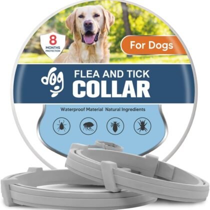 Flea Collars for Dog, Flea & Tick Collar for Dogs, Tick Collar for Large Dogs, Upgraded Sturdy & Adjustable 8 Months Prevention-Pack of 2