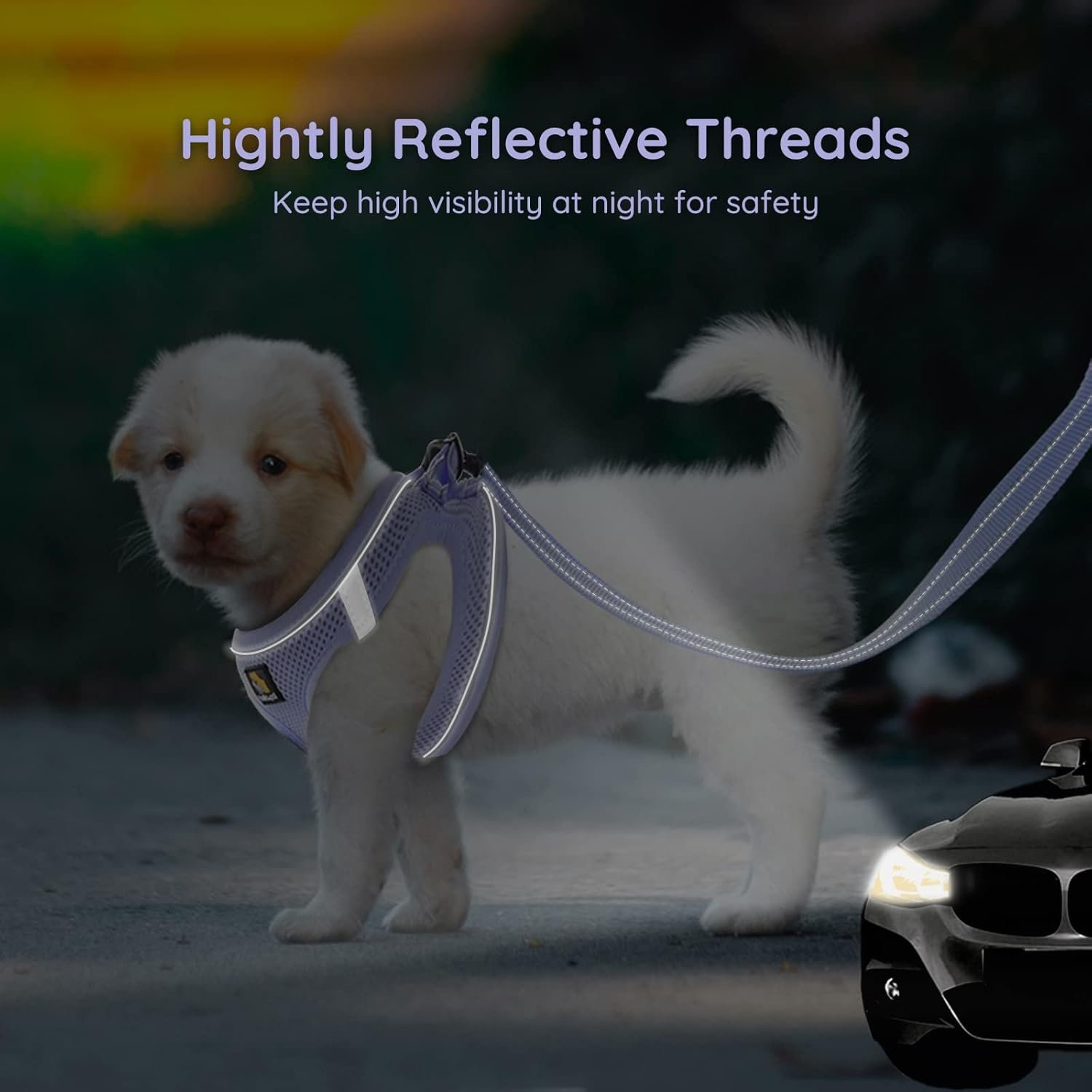 BELLA & PAL Step in Vest Harness for Small and Medium Dogs, No Pull Small Dog Harness with Leash Set, Comfortable Air Mesh Dog Vest Harness with Reflective Strip (Lavender, S) - Image 5