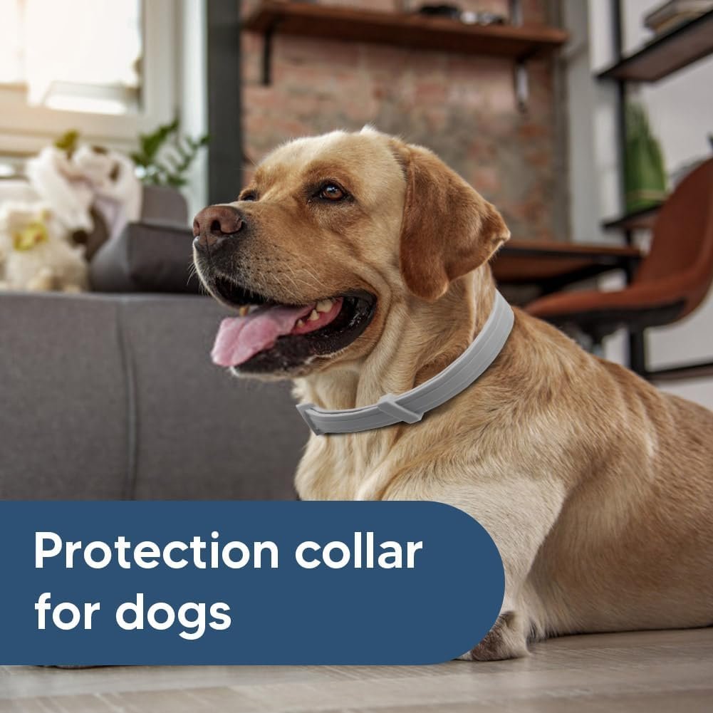 Flea Collars for Dog, Flea & Tick Collar for Dogs, Tick Collar for Large Dogs, Upgraded Sturdy & Adjustable 8 Months Prevention-Pack of 2 - Image 4